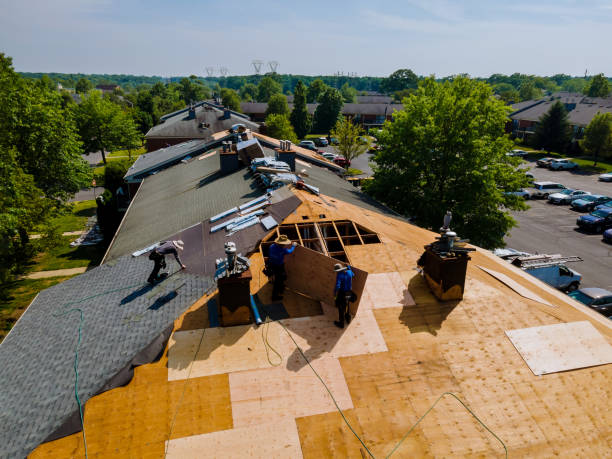 Quick and Trustworthy Emergency Roof Repair Services in Minneola, FL