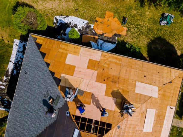 Best Emergency Roof Repair  in Minneola, FL