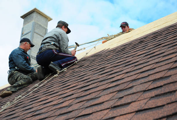 Best Gutter Installation and Roofing  in Minneola, FL